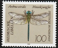 [Goldsmith, Typ AXT]