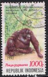 [International Conference on Great Apes of the World - The Orangutan, type BBI]