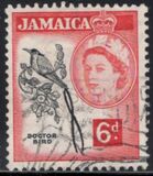 [Local Motifs, typ EG]