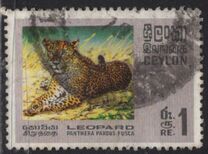 [Wildlife, Вид GE]