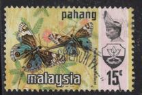[Sultan Abu Bakar & Butterflies, タイプ AN]