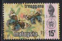 [Butterflies, type AN]