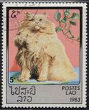 [Domestic Cats, Tip ZK]