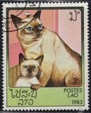 [Domestic Cats, Tip ZI]