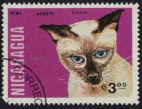 [Airmail - Cats, type BLE]