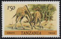 [Animals, тип FD]