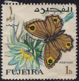 [Butterflies, тып FC]