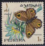 [Butterflies, тып FC]