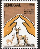 [Animals of Ferlo National Park, Scrivi ABB]