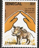 [Animals of Ferlo National Park, Scrivi ABD]