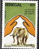 [Animals of Ferlo National Park, Scrivi ABE]