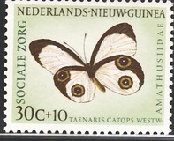 [Social Care - Butterflies, type V]