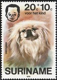 [Child Welfare - Pet Dogs, type AHD]