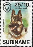 [Child Welfare - Pet Dogs, type AHE]