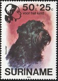[Child Welfare - Pet Dogs, type AHH]