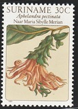 [Flower Drawings by Maria Sibylle Merian, Tipe AOH]
