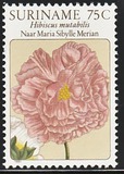 [Flower Drawings by Maria Sibylle Merian, Tipe AOJ]