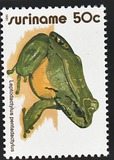 [Ranas., tipo APA]