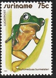 [Ranas., tipo APC]