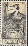 [Water Birds, type YZ]