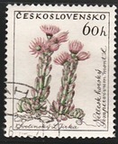 [Flowers, type ZH]