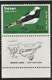 [Airmail - Birds, тып IQ]