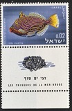 [Peces del mar rojo., tipo JJ]