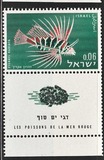 [Peces del mar rojo., tipo JK]