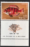 [Peces del mar rojo., tipo JL]