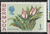 [Flowers, type EB]