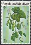 [Vegetables, type YB]