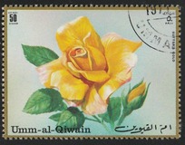 [Airmail - Roses, տեսակ ZC]