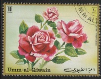 [Roses, タイプ YY]