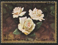 [Roses, タイプ ZB]