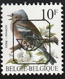 [Birds, type BNI]