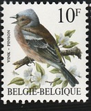[Birds, type BNI]
