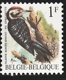 [Birds, type BNH]