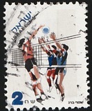 [Sport, type AXM]