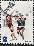 [Sport, type AXM]