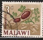 [Local Motives - Previous Issues of 1964 of Nyasaland but Overprinted "MALAWI", type D]