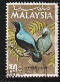 [Birds, type I]