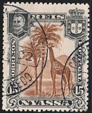 [Giraffe, type C3]
