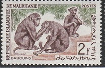 [Animals, type CO]