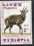 [Menelik´s Bushbuck, type AZF19]