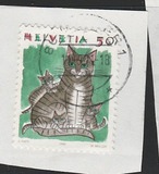 [Definitive Issue, 类型 BCE]