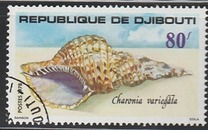 [Sea Shells, Typ AL]