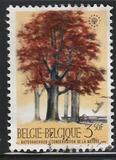 [Trees - Nature Protection Year, тип ALN]