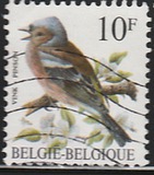 [Birds, type BNI]