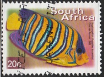 [Fauna and Flora - Fish, Tip ASK]