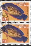[Fauna and Flora - Fish, Tip ASS]